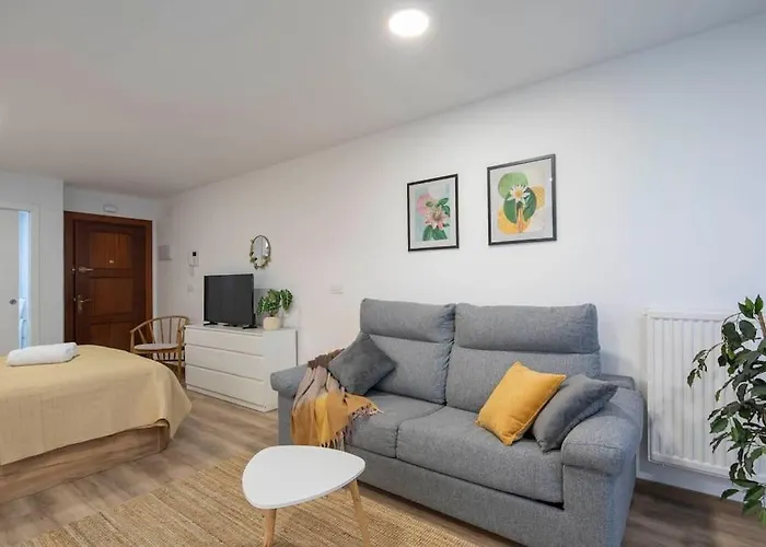 Lindo Estudio En El Centro By Daire Vigo